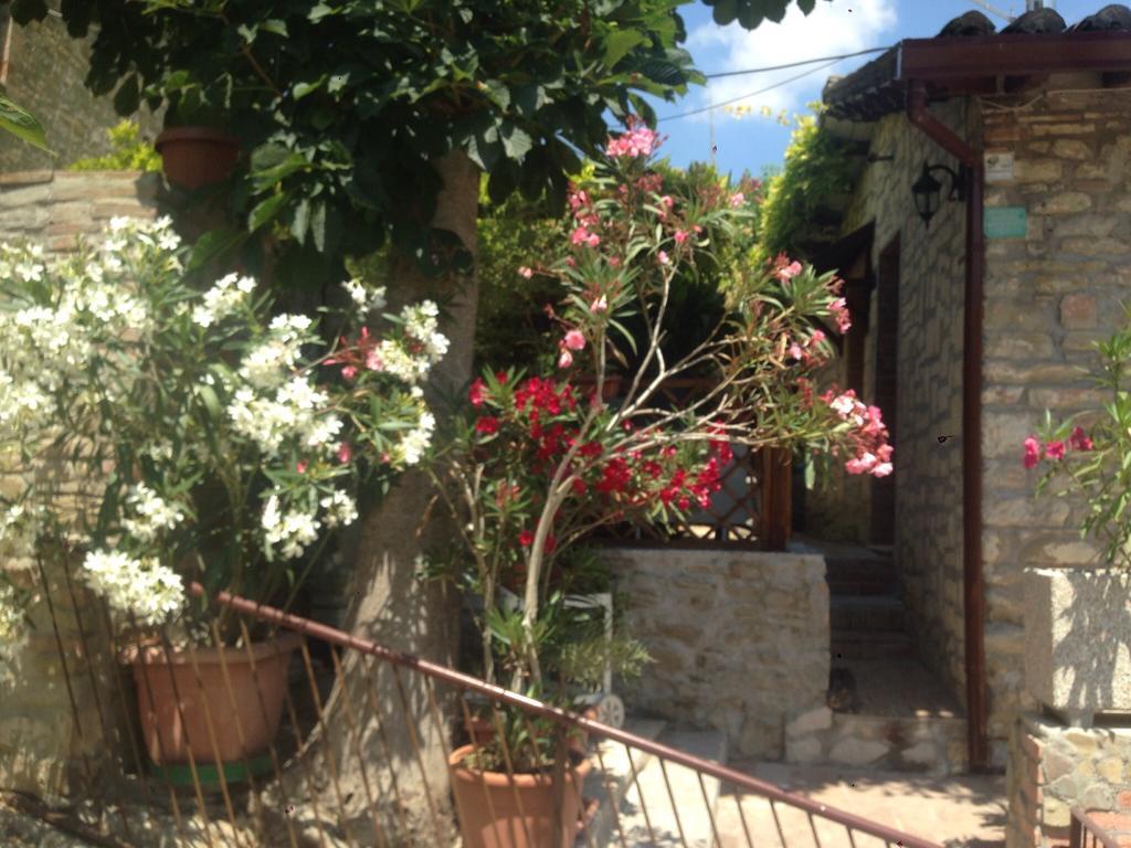 Residenza Etrusca *